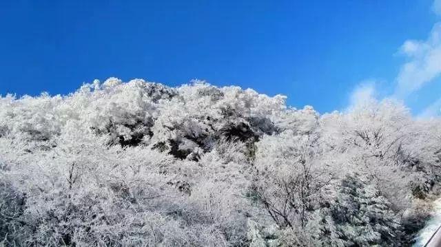可爱女孩变芭比