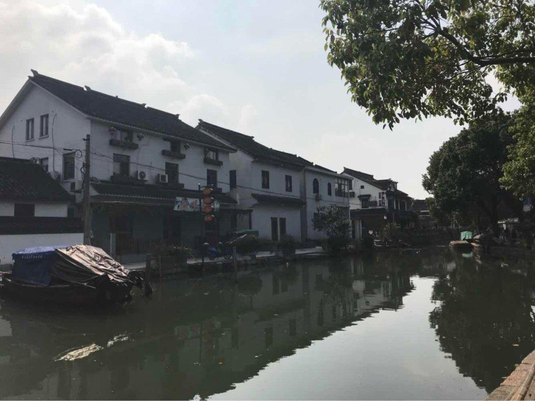 小乌龟逃亡记